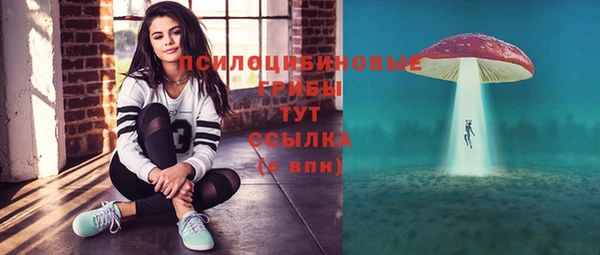 прущие грибы Баксан