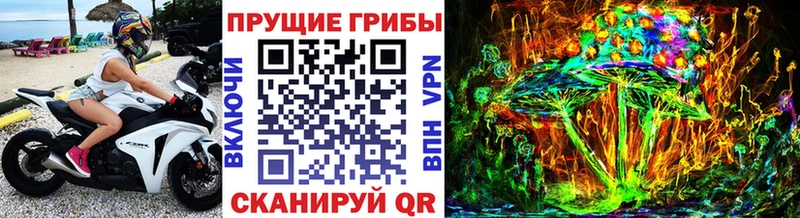 Псилоцибиновые грибы Magic Shrooms  Шебекино 